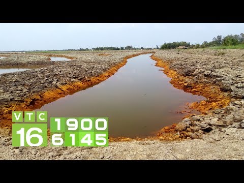 Video: Loại đất Nào Mà Clematis Thích? Hạ Cánh ở đất Chua Hay đất Kiềm? Thành Phần đất. Khả Năng Chịu Axit