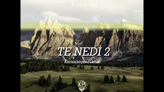 Kurdish Trap ⊳Te nedi 2⊲ /prod.karambit Resimi