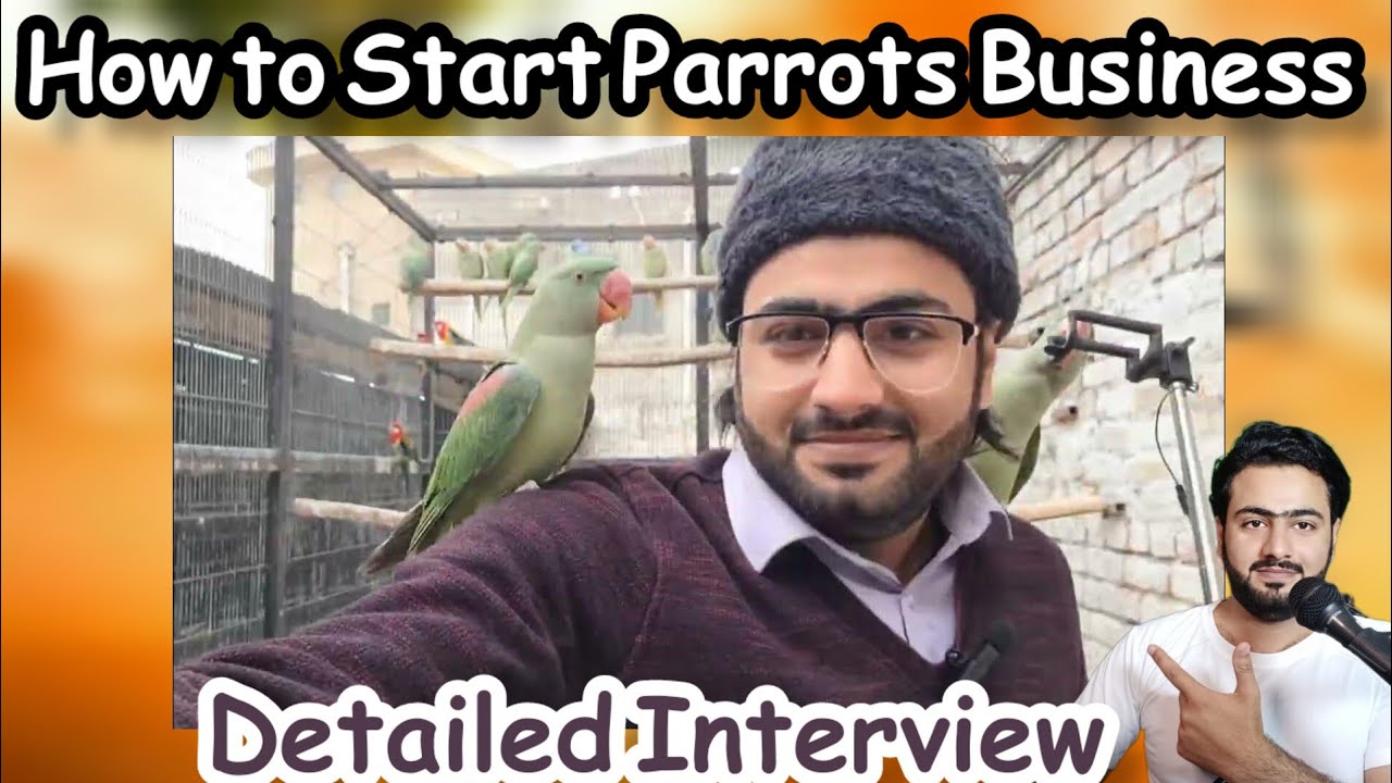 How to Start Parrots Business | Umer Khattab Birds Aviary | Tech Point Pk