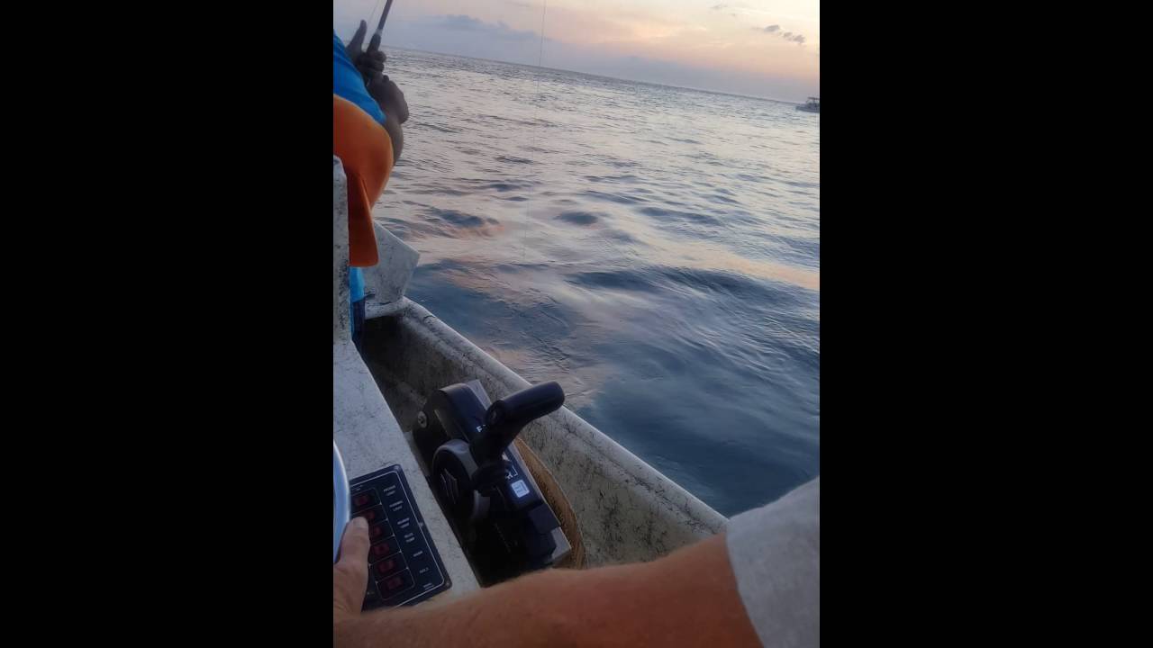 Boca Grande pass grouper