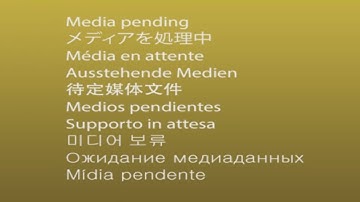 Media Pending message in Adobe Premiere Pro (Audio & Video Muted)