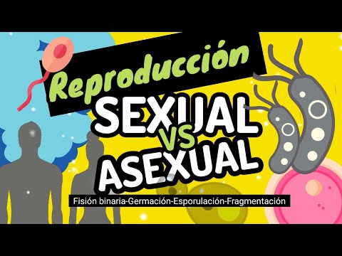 Video: Skillnaden Mellan Klon Och Sexuell Reproduktion