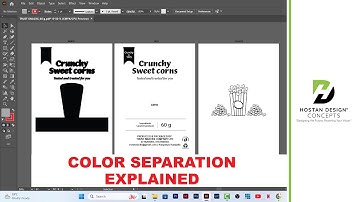 Color Separation for Beginners | Step-by-Step Guide for Screen Printing & Design
