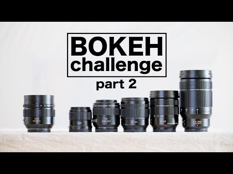 Bokeh Challenge Part 2 –Nocticron vs the rest