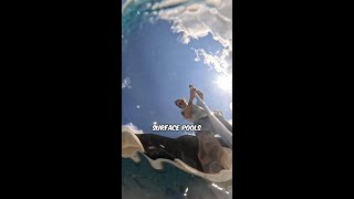 Brushes EVERY Pool Owner NEEDS!