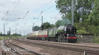 Double Eastern Domination | 60163 'Tornado' & 60103 'Flying Scotsman' | 15.06.2019