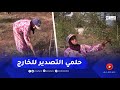 الحاجة مبروكة بالطارف فلاحة مكافحة تطمح في تصدير منتوجها إلى الخارج