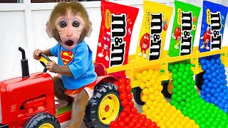 Monyet Bon Bon Imut membangun mobil Lego dan membeli es krim pelangi di peternakan