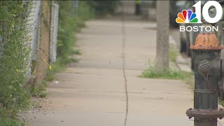 Man shot in Dorchester