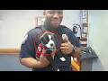 When A K9 Puppy Got His First Day On The Job! 😂 Funny Dog Videos 2025