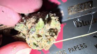 BISCOTTI OG By Meat & Potato REVIEW