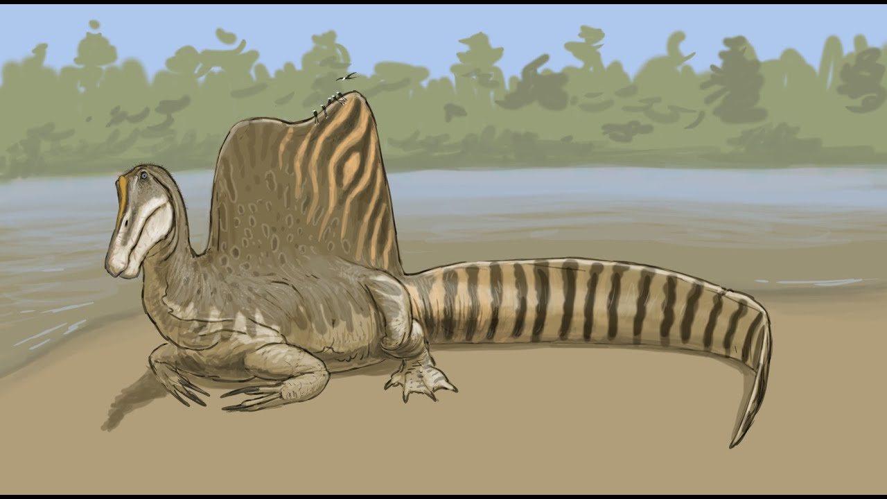 paleostream-the-new-spinosaurus-youtube