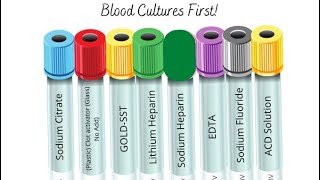 Friendly Girl Order Of Draw And Additives. Atl Hospital Phlebotomist 2023. Visuals Facts And Tips.