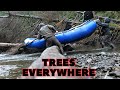 Gnarly unforeseen trees blocking entire river  winter steelhead low water grind 