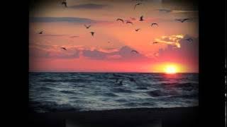 ~ Fly me to the Moon ~