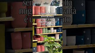 #terracotta o plastica riciclata? Sfatiamo qualche falso mito🔎 #debunked #garden #plants