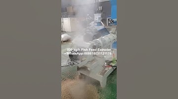 800 kg/h fish feed extruder