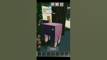 Minecraft Build Hack| #26