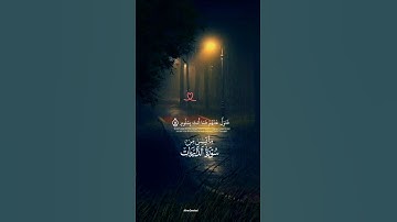 فَتَوَلَّ عَنْهُمْ فَمَا أَنتَ بِمَلُومٍ #قرآن كريم #quran #راحة_نفسية