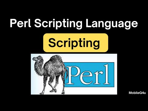 Perl Scripting Language | Test Case Scripting | Interview Point of View