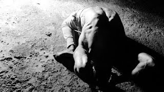 Dramatic View - What's the meaning  [REMY KOUADIO]