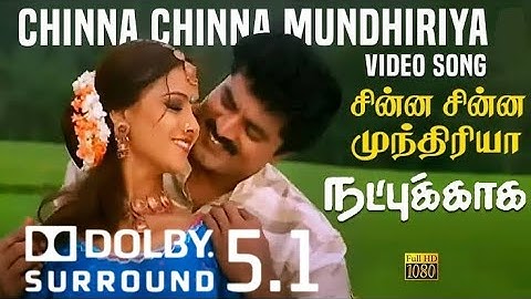 Chinna Chinna Mundhriya | Natpukkaga (1998) | Dolby Digital 5.1 CH | Sarathkumar | Simran