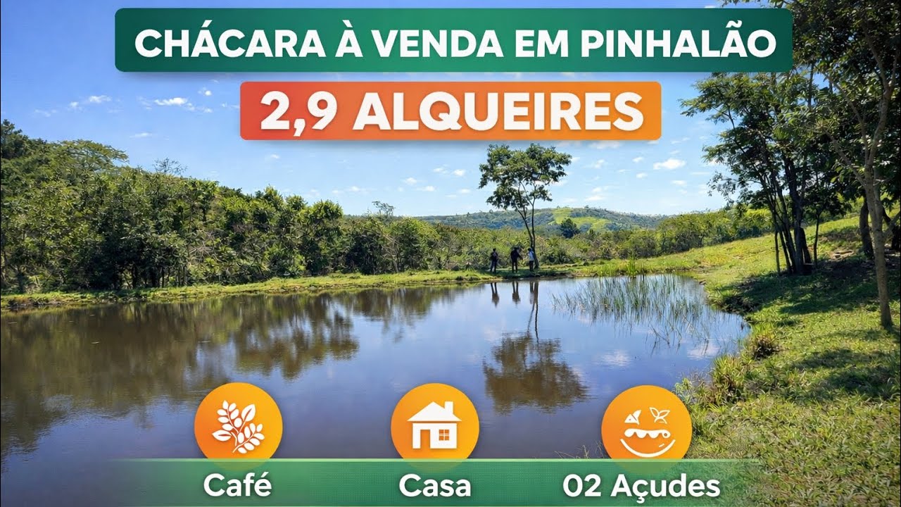 Chácara Produtiva em Pinhalão | 2,9 Alqueires • Café • Açude R$550Mil