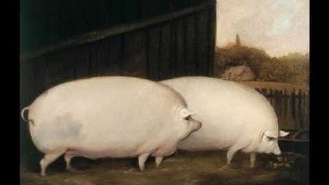 The Öats Movie But Every Time They Say Oats It Speeds Up