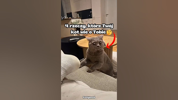 4 rzeczy, które Twój kot wie o Tobie 🐈‍⬛