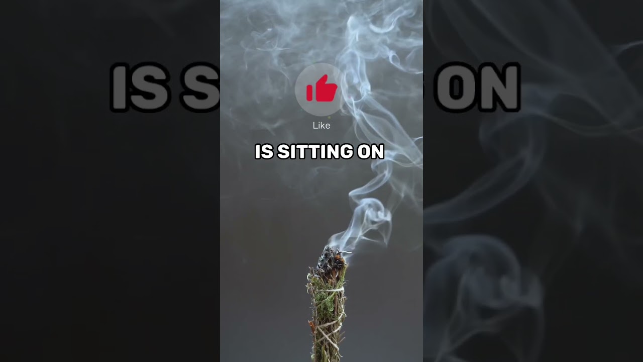 George Addair Quotes 