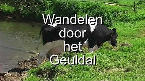 Wandelen in het Geuldal