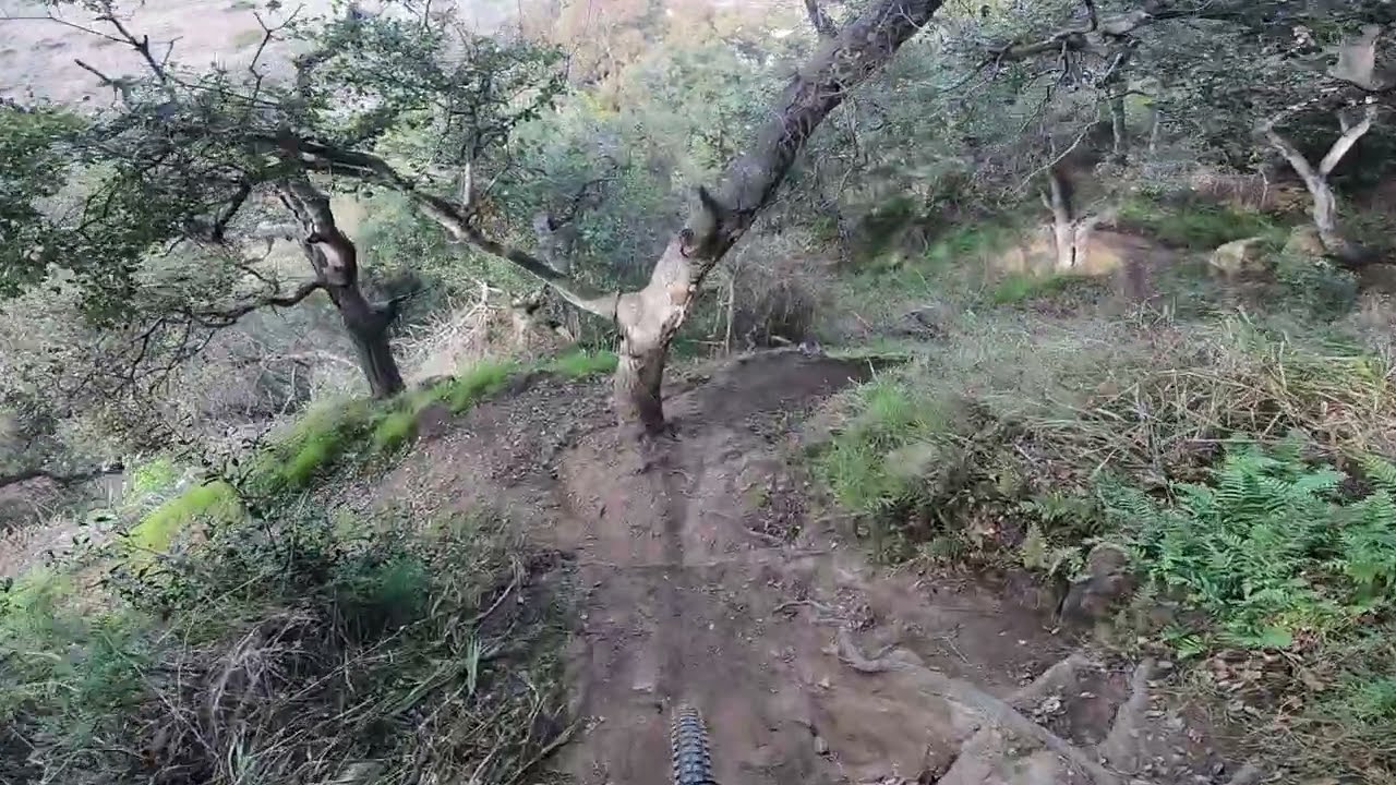 PG on my Stumpjumper Evo 29 1/18/24