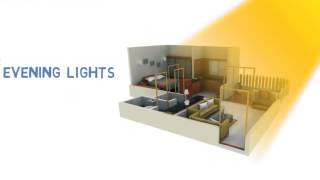Interior Design Ideas #30 : Day Light, Evening Light, Colours Scheme