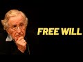 FREE WILL (4) | Noam Chomsky