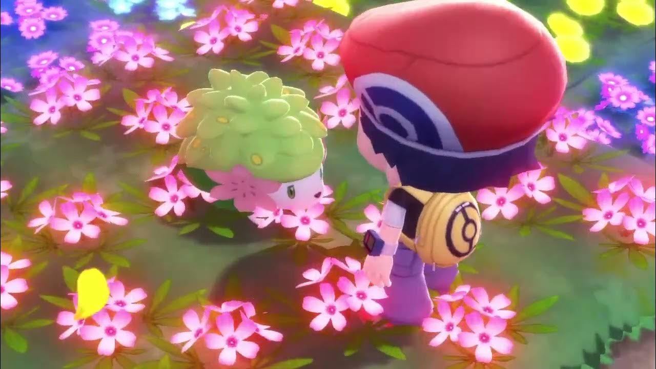 Shiny Shaymin (Pokemon Brilliant Diamond) YouTube