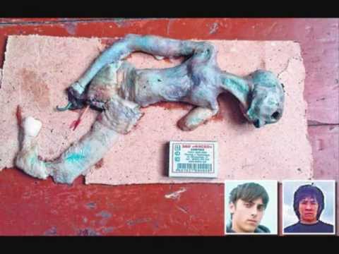 Alien body found in Russia - SOLVED