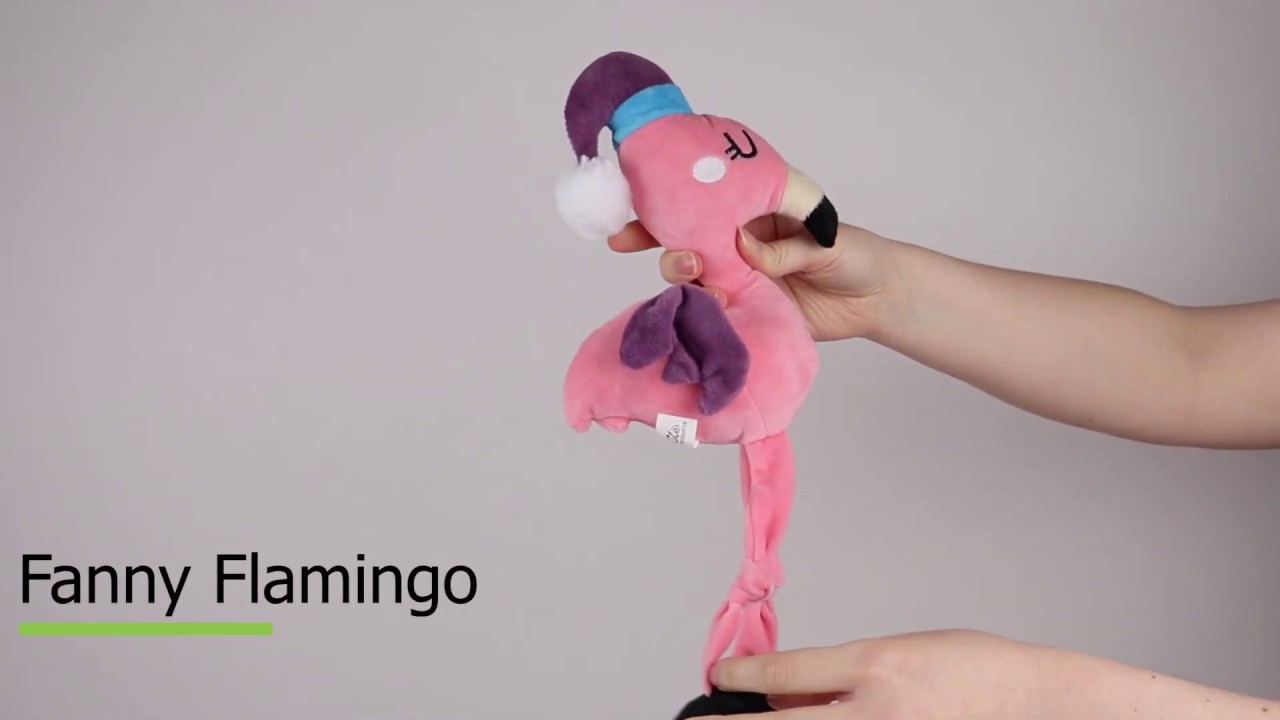 fanny-flamingo-youtube