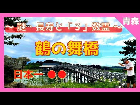 【 鶴の舞橋 (青森県鶴田町) 解説付 】駐車場代いくら❓『鶴の舞橋』パワースポット その秘密とは❓渡ると長寿と開運が❗️津軽富士見湖の由来とは❓謎を解き明かす旅ツアー 【Japan Aomori 】