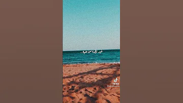 دا العيونة دوبوني محبي عمرو دياب 