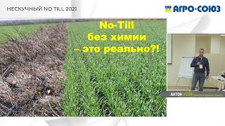 видео: 16 лет No-Till без химии в хозяйстве Усовых картинка: 16 лет No-Till без химии в хозяйстве Усовых