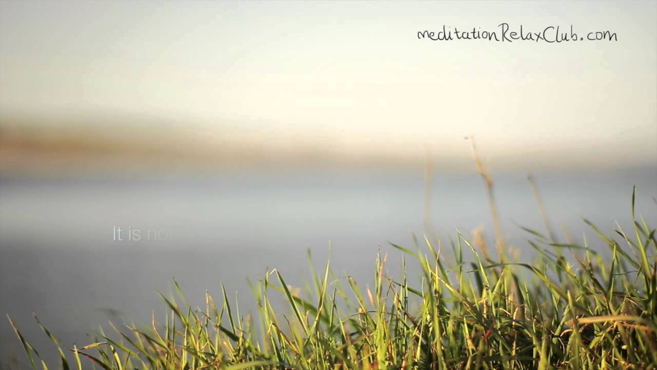 Soft Instrumental Music: Free Relaxation Music for Self Healing and Stress  Relief - YouTube