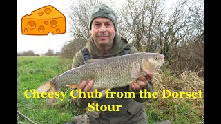 Fishing for chub with cheese paste on the Dorset Stour