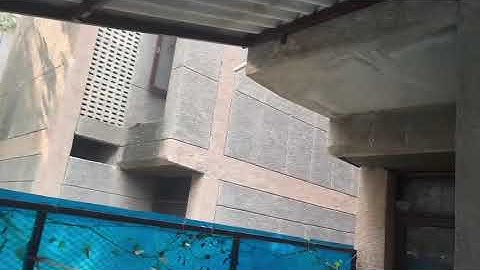 bird net installation call 8800948180 #birdnet #manzilbirdnet more information 👇