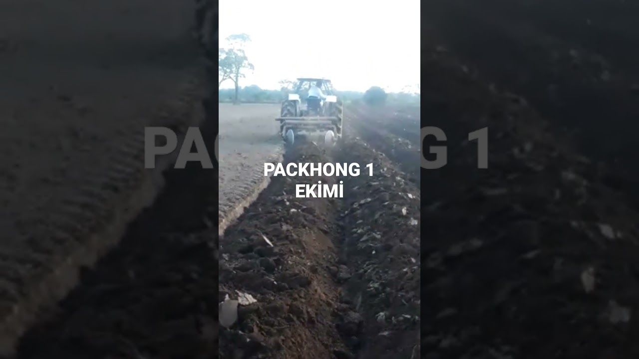 PACKHONG 1 EKİMİ
