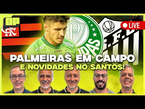 OPINIÃO PLACAR: PALMEIRAS NA LIBERTADORES, FLAMENGO VENCE BEM, REFORÇOS NO SANTOS E MAIS | Placar TV