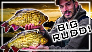 Fishing for Specimen Rudd | Daniel Woolcott | A Brace of 3's!