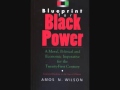 Amos n  wilson   educating africans in america for the 21st century