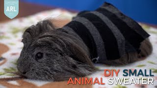 DIY Small Animal Sweater