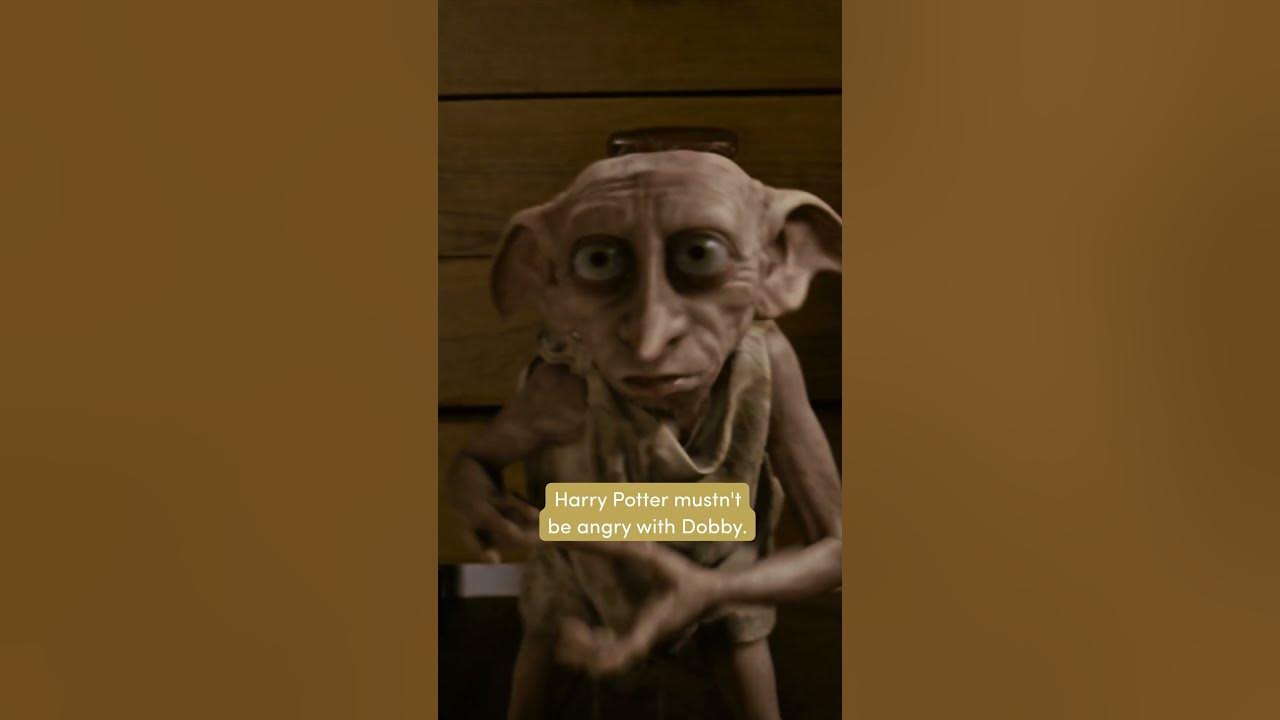 Harry Potter and Dobby's Friendship #HarryPotter #Dobby - YouTube