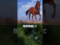 ぴえん過ぎる生き物紹介 ウマ ショートver